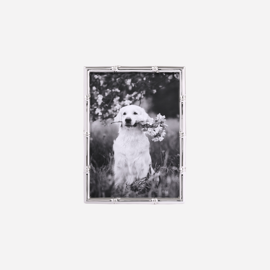 THE HUGO PHOTO FRAME (5x7)