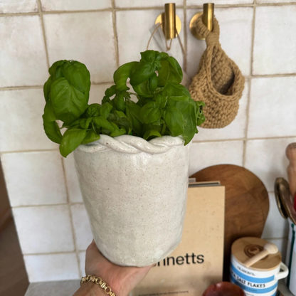 ENTWINED VASE - MEDIUM