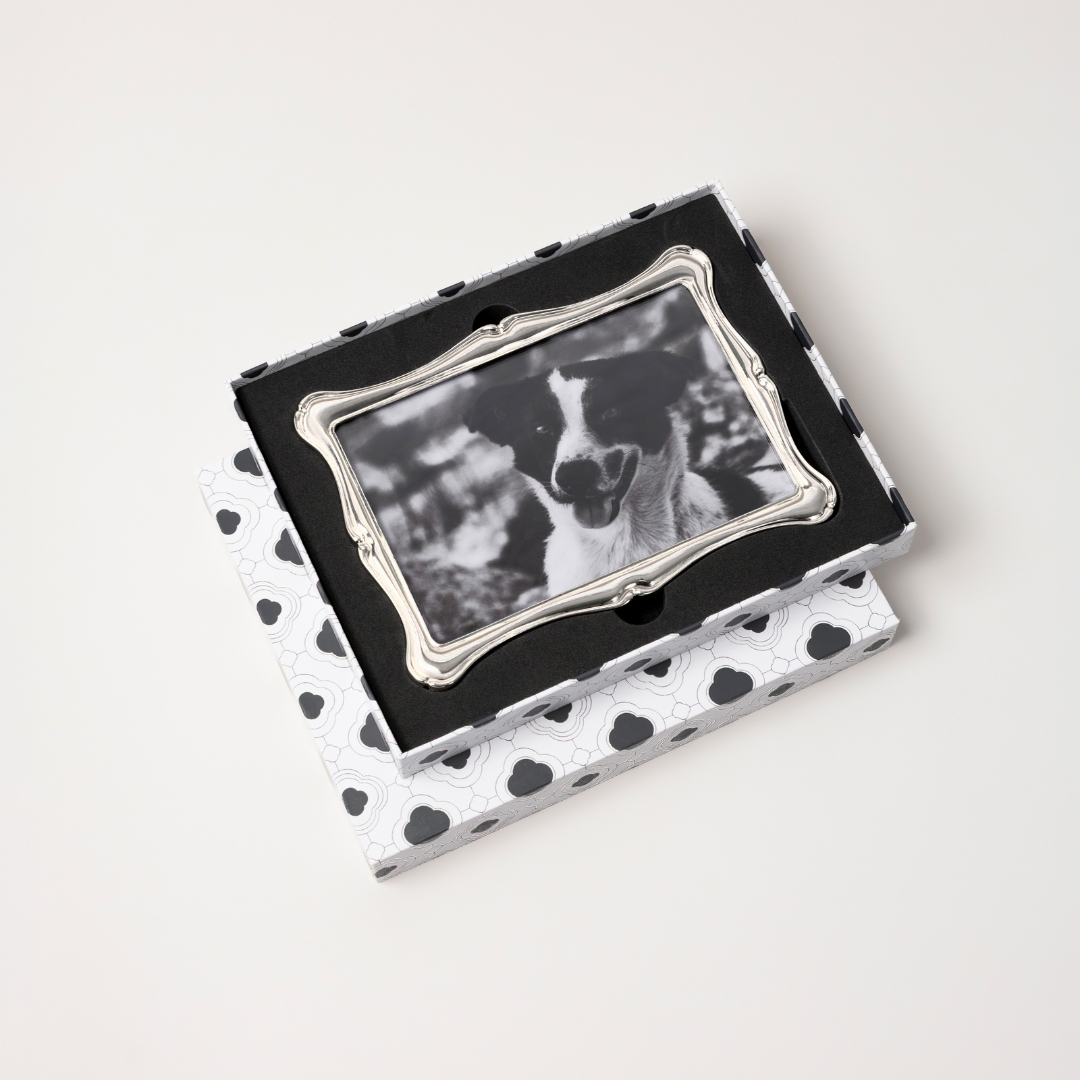 THE CLARA PHOTO FRAME (4"x6")