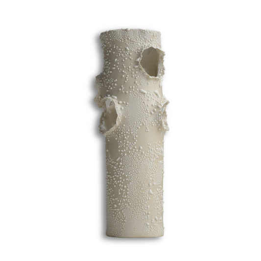 ROOSTING VASE - WHITE LICHEN