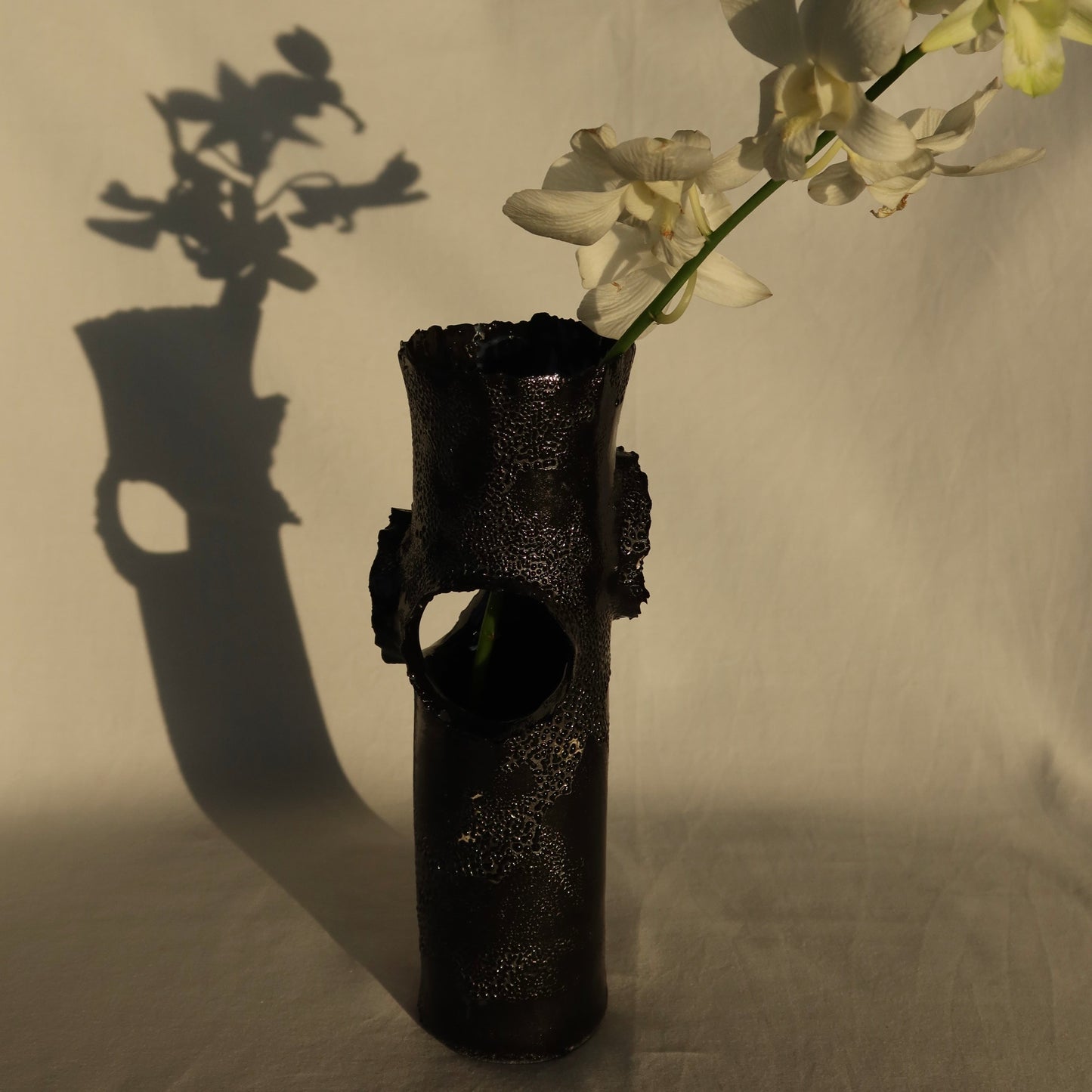 ROOSTING VASE - BLACK WITH BLACK LICHEN SMALL