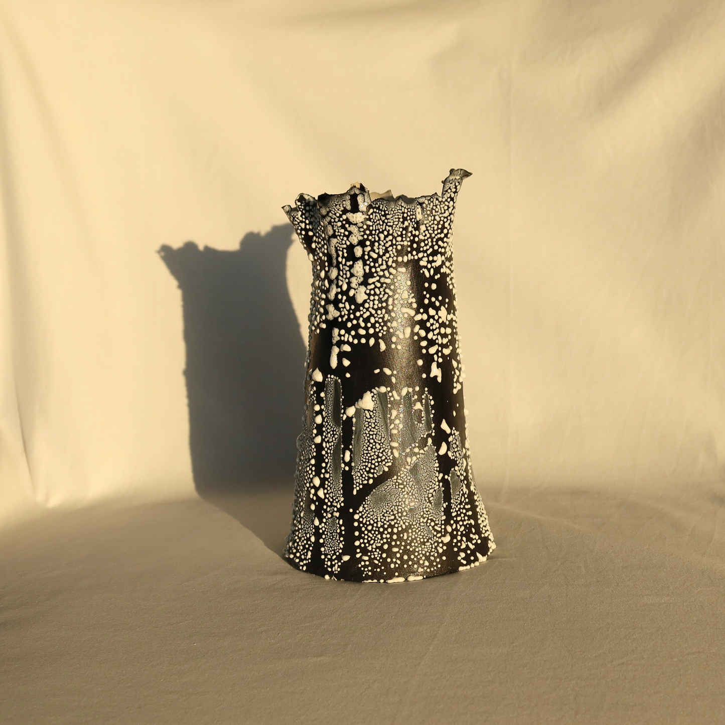 CONCAVE VASE - BLACK WITH WHITE LICHEN