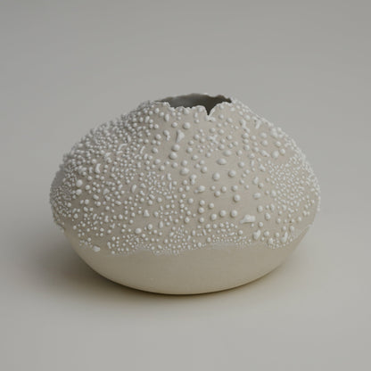 ORB VASE - WHITE LICHEN